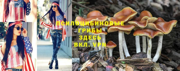 ECSTASY Сафоново