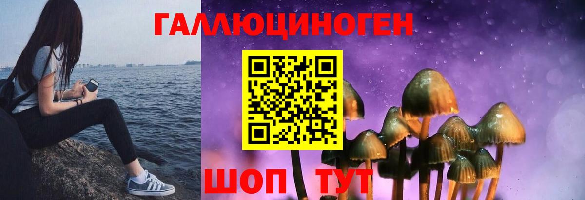 Железноводск  Галлюциногенные грибы ЛСД  как найти   Вход с VPN 