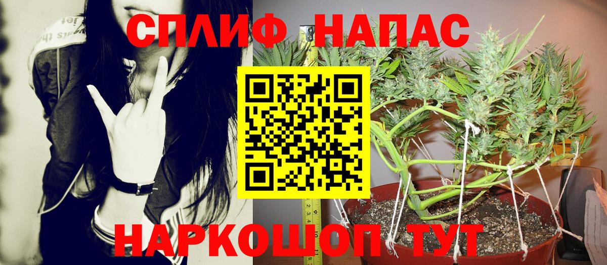 Бошки марихуана марихуана  Марихуана планчик  Железноводск  Канабис Amnesia  Вход с VPN 